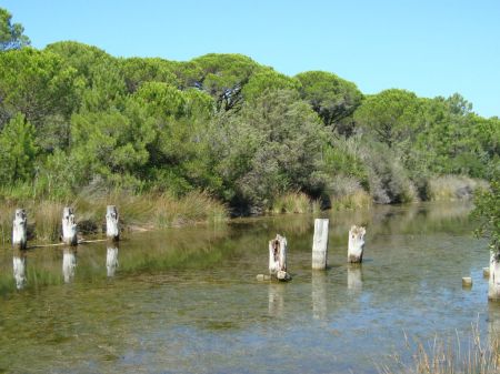 Parco della Maremma